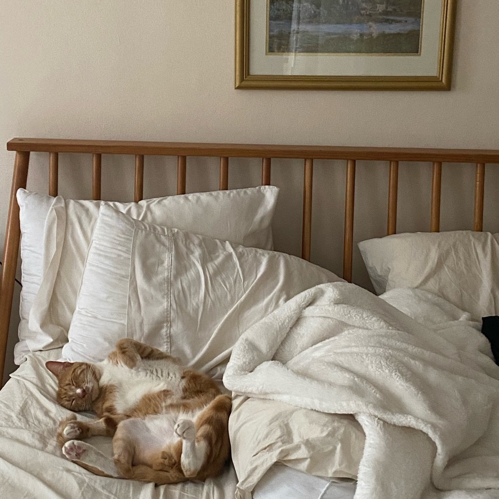 Meet your Posher, Sarah